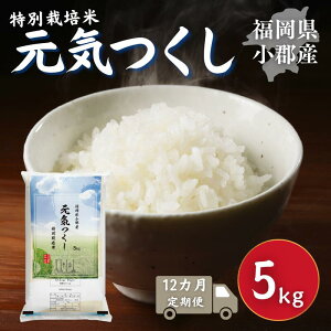 yӂ邳Ɣ[Łz 12 ʍ͔|  SY C 5kg   12