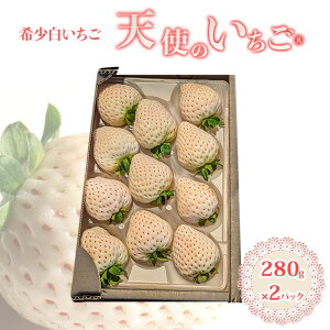 yӂ邳Ɣ[Łz ws\xy2026N1{ȍ~͂z Vĝ  280g×2p v2pbN 560g t[c   C`S ʕ fU[g  Ss ct@[ z