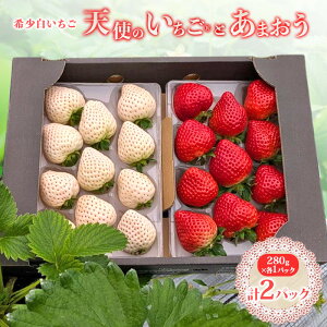 yӂ邳Ɣ[Łz ws\xy2026N1{ȍ~͂z Vĝ 嗱 280g×1p I܂DX 280g×1p v2pbN 560g t[c  ʕ fU[g zsF