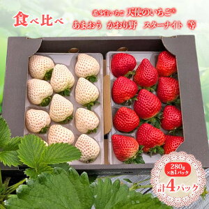 yӂ邳Ɣ[Łz ws\xy2026N1{ȍ~͂z Vĝ E܂EEX^[iCgȂǊe1pbN v4pbN Hה t[c  ʕ z