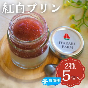 �y�ӂ邳�Ɣ[�Łz�v���� �g���v���� 5���� �C�`�S � �Ԃ����� �������� �f�U�[�g �t���[�c �ʎ� �Ⓚ ���z���s��:����