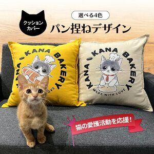 �y�ӂ邳�Ɣ[�Łz�ی슈���������I�N�b�V�����J�o�[�u�p���s�˃f�U�C���v4�F �N�b�V���� �G�� �C���e���A