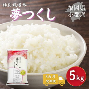 �y�ӂ邳�Ɣ[�Łz����� 3�� ���ʍ͔|�� ������ ���S�Y ������ 5kg �� ���� 3����