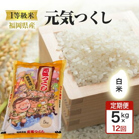 【ふるさと納税】令和7年度 定期便 12回 1等級米 米 1粒からこだわる 福岡県産米 元気つくし 白米 5kg お米 コメ お楽しみ 12ヶ月 令和7年度産