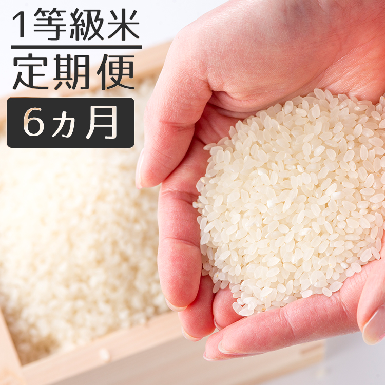 米研ぎ不要の無洗米を定期便で ふるさと納税 最大96％オフ 〈定期便〉福岡県産米 1等級 ひのひかり 30kg 無洗米 人気商品は 5kg×6回