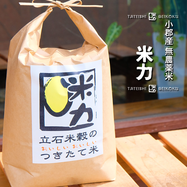 福岡県エコ認証白米 購入 ふるさと納税 当日精米 定価の88％ＯＦＦ 小郡産 無農薬米 米力 6kg