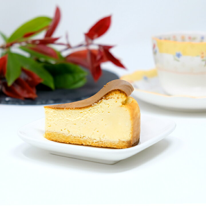 1800円 お見舞い ふるさと納税 利府町 ダブルチーズケーキ ベイクドチーズとレアチーズの