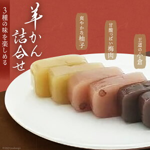 yӂ邳Ɣ[Łz 3̗r㻋lߍ킹 [َqi ~  }s 10021] aَq r 悤 َq  l 3 Zbg Hה