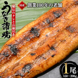 【ふるさと納税】 創業100年の味 鰻の蒲焼 1尾 150〜200g 秘伝のタレと山椒付き / 川魚料理 鯉ひろまつ 福岡県 筑紫野市