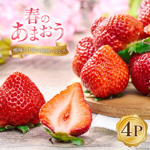 yӂ邳Ɣ[Łz yԌ蔭z  t ܂ 4pbN [썑t[c  }s 21760096]   C`S t[c ʕ Ԍ Gߌ Y Â