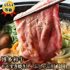yӂ邳Ɣ[Łz A5A4aĂԂԗp300g / LВ}O /  }s