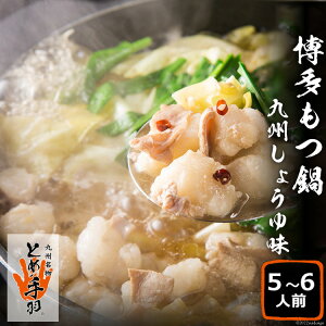 yӂ邳Ɣ[Łz  yBƂߎHz  Zbg 5`6lO B傤䖡 c Y / tFbNX /  }s [21760208]