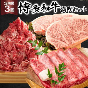 yӂ邳Ɣ[Łz y3  z a A4ȏ iZbg v1.75kg / MEAT PLUS /  }s [21760276]  a јa Ⓚ