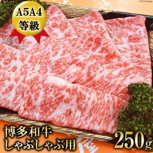 yӂ邳Ɣ[Łz yʌza [X Ԃԗp 250g / }O /  }s [21760385]   a  r[t Y uh ē Ⓚ