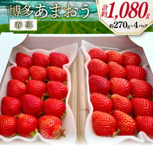 yӂ邳Ɣ[Łz st ܂ 270g×4 / GC`Aht[`[Y /  }s [21760414] ʕ t[c  C`S  ̂ VN