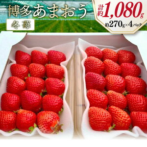 yӂ邳Ɣ[Łz st y ܂ z  270g×4p / GC`Aht[`[Y /  }s [21760472] ʕ t[c  C`S  ̂ VN