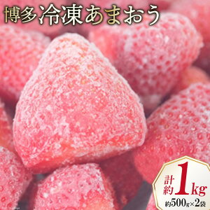 yӂ邳Ɣ[Łz   Ⓚ܂ 500g×2 v1kg [GC`Aht[`[Y  }s 21760520] ʕ t[c  C`S ܂ Ⓚ Ⓚ ʎ Xgx