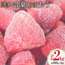 【ふるさと納税】 いちご 博多 冷凍あまおう 約500g×4袋 計約2kg [エイチアンドフューチャーズ 福岡県 筑紫野市 21760521] 果物 フルーツ 苺 イチゴ あまおう 冷凍いちご 冷凍苺 果実 ストロベリー ジャム用 福岡県産