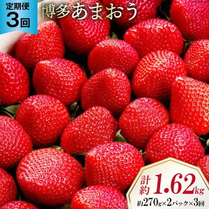 yӂ邳Ɣ[Łz ystz y3  z   ܂ 270g×2pbN×3 v1.62kg [GC`Aht[`[Y  }s 21760526] ʕ t[c  _ƒ 