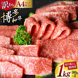 【ふるさと納税】 訳あり 博多和牛 A4〜A5 切り落とし 焼肉 (肩ロース or バラ）500g×2 計1kg 化粧箱 / MEAT PLUS / 福岡県 筑紫野市 [21760470] 肉 牛肉 和牛 黒毛和牛 冷凍