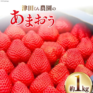yӂ邳Ɣ[Łz yԌ蔭z  Óc_̂܂ 1kg [  }s 21761180]  ܂ C`S  Ԍ