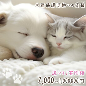 【ふるさと納税】 犬猫保護活動への支援 選べる寄附額 [NPO法人セブンデイズ 福岡県 筑紫野市 21760860] 保護 動物 犬 猫 犬猫 保護犬 支援 応援 イヌ ネコ いぬ ねこ ペット動物愛護 愛護 保護活動