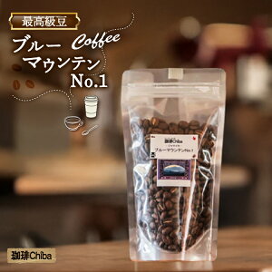yӂ邳Ɣ[Łz R[q[uu[}EeNo.1v100g [Chiba  }s 21761094] R[q[  COFFEE R[q[  蓤 ܂ 100O