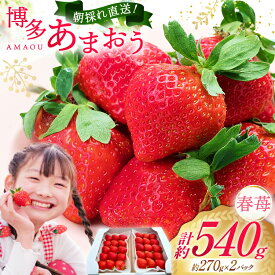 【ふるさと納税】 先行受付 博多あまおう 約270g×2 / エイチアンドフューチャーズ / 福岡県 筑紫野市 [21760413] 果物 フルーツ いちご イチゴ 苺 朝採り 新鮮