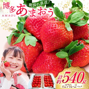 �y�ӂ邳�Ɣ[�Łz ��s��t �y �������܂��� �z ������ ��270g×2p / �G�C�`�A���h�t���[�`���[�Y / ������ �}����s [21760471] �ʕ� �t���[�c ������ �C�`�S � ���̂� �V�N