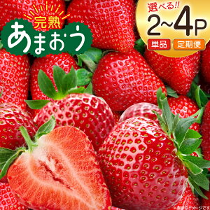 yӂ邳Ɣ[Łz yԌ蔭z  Y n  ܂ 270g Iׂe &  2p or 4p v2p`12p [mhshops  }s 21761237] C`S  t[c ʕ 