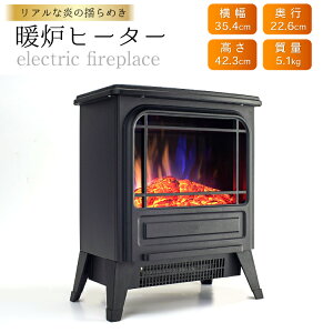 yӂ邳Ɣ[Łz gF gFq[^[ SKJ-RK100DH [a  }s 21761372]  q[^[ _ tFCN  gsv g É