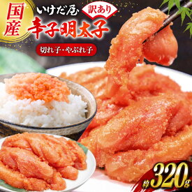 【ふるさと納税】 明太子 いけだ屋特製 ご家庭用 からし明太子 切れ子 やぶれ子 1箱 [いけだ屋 福岡県 筑紫野市 5001] ふるさと納税 辛子明太子 明太 めんたいこ めんたい 家庭用 冷凍 切子 きれこご飯のお供