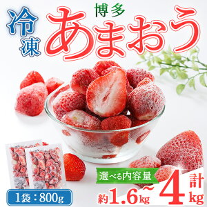 yӂ邳Ɣ[ŁzeʂIׂ遄Ⓚ ܂ (v1.6kg`4kg)  C`S  ܂ Ⓚ ⓀC`S Y  ʕ t[c ACX V[xbg W X[W[ 