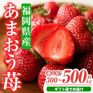 yӂ邳Ɣ[ŁzeʂIׂEs\tI2025N11{`2026N3ɏ\聄܂ Mtg(300g or 500g)  t[c ʕ   p ① 