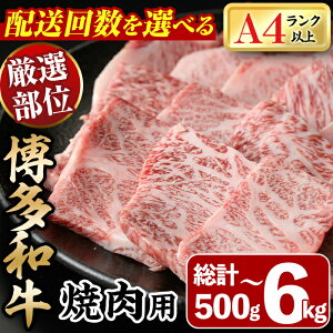 yӂ邳Ɣ[ŁzցEz񐔂Iׂ遄aēp(v500g`6kg)  јa Y BBQ ϔ  Mtg v[g  zsyksg0287Eksg1719Eksg1720Eksg1721