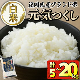 【ふるさと納税】＜容量が選べる・令和7年産＞福岡県産ブランド米「元気つくし」白米(5kg or 10kg or 20kg) お米 5キロ 10キロ 20キロ ごはん ご飯 常温 常温保存【ksg0376・ksg0378・ksg0380】【朝ごはん本舗】