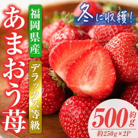 【ふるさと納税】＜先行予約受付中！2025年11月下旬から2026年1月下旬にかけて順次発送予定＞あまおうDX(デラックス)・冬(計約500g・約250g×2P)いちご 苺 フルーツ 果物 くだもの 福岡限定 家庭用 冷蔵 ＜離島配送不可＞【ksg0474】【南国フルーツ】