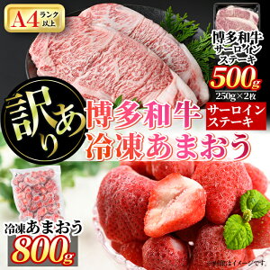 yӂ邳Ɣ[Łz󂠂EKiOaT[CXe[L(2Ev500g)&Ⓚ܂(800g)Zbg  јa Y   C`S [Og ACX V[xbg W X[