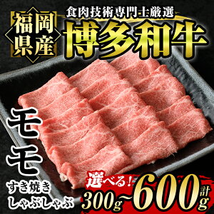 yӂ邳Ɣ[ŁzeʂIׂIaĂEԂԗp(300g or 600g)  Y Y ~ Ⓚ VuVu XLL  zsyksg1208Eksg1