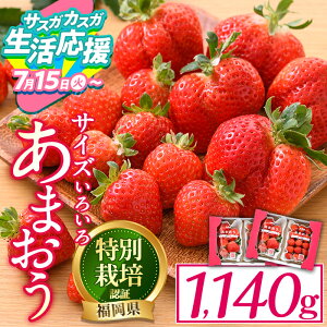 yӂ邳Ɣ[Łz_r[Ly[{^yԌz\tI2025N12{菇\聄 s ܂ (v1.14kgE285g×4P)   C`S t[c ʕ ①