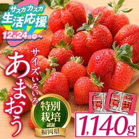 【ふるさと納税】＜数量限定・予約受付中！2026年3月～4月中旬より順次発送予定＞ ＜不揃い＞ あまおう (計1.14kg・285g×4P) 苺 いちご イチゴ フルーツ 果物 冷蔵 特別栽培 福岡県 国産 ＜離島配送不可＞【ksg1222・ksg1222-g】【うるう農園】