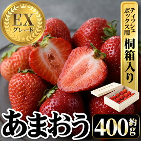 【ふるさと納税】＜先行予約受付中・数量限定＞2026年2月からお届け！プレミアムあまおうEX ティッシュボックス用特別仕様の桐箱入り(約400g) 苺 いちご イチゴ フルーツ 果物 くだもの 手作り スイーツ ギフト 贈答 ＜離島配送不可＞【ksg1251】【THE FARM_strawberry】