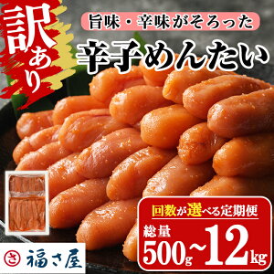 yӂ邳Ɣ[Łzz񐔂IׂE󂠂聄 Fhq߂񂽂 (500g`12kg) q ߂񂽂  CN  1kg 1L zsyksg1266Eksg1494Eksg1495Eksg1496Eksg1692