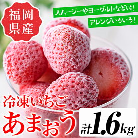 【ふるさと納税】訳あり いちごの王様【あまおう】冷凍いちご (計1.6kg) 苺 いちご あまおう フルーツ 果物 冷凍 数量限定＜離島配送不可＞【ksg1322】【よっちゃんファーム】