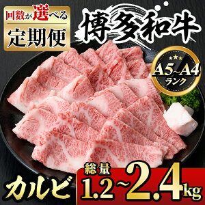 yӂ邳Ɣ[Łz񐔂IׂIցaA5`A4 Jr ēt(1.2`2.4kg)  јa Y ~ 1L 1kg 2L 2kg ϔ  Mtg v[g zsy