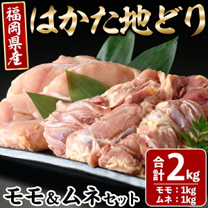 yӂ邳Ɣ[Łz͂nǂ胂lZbg(v2kgEe1kg×2p) { Ƃɂ Ƃ { {  T_`L { g Yzsyksg1399zyMEATPLUSz
