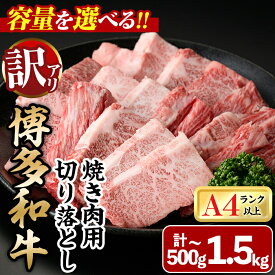 【ふるさと納税】＜容量を選べる！訳あり・不揃い＞博多和牛焼肉切り落とし(肩ロース・バラ)(計500g〜1.5kg) 牛肉 黒毛和牛 国産 BBQ 化粧箱 贈答 ギフト プレゼント ＜離島配送不可＞【ksg1405・ksg1406・ksg1722】【MEATPLUS】