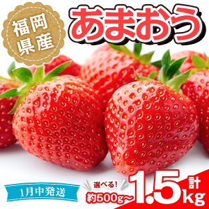 yӂ邳Ɣ[ŁzeʂIׂEs\tI2026N1菇\聄Y ܂(v500g~1.5kg)  t[c ʕ  ① zsyksg1489Eksg1490Eks