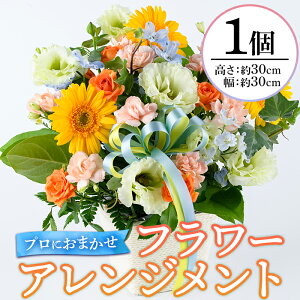 yӂ邳Ɣ[Łzvɂ܂It[AWg(1F񍂂30cm30cm)  Mtg v[g  ԑ LO jzsyksg1535zyԂ̂ӂz