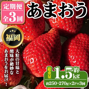 yӂ邳Ɣ[Łzss\tEʌtցES3i2E3E4j2026N2炨͂I ܂(dʖ1.5kgE250`270g×2P×3)   ܂ ʕ 